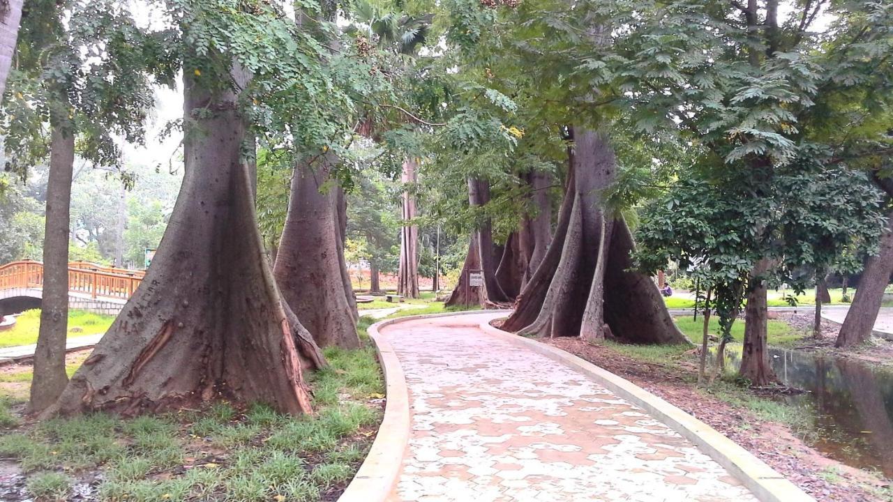 Patricia Guest House Pondicherry Ngoại thất bức ảnh