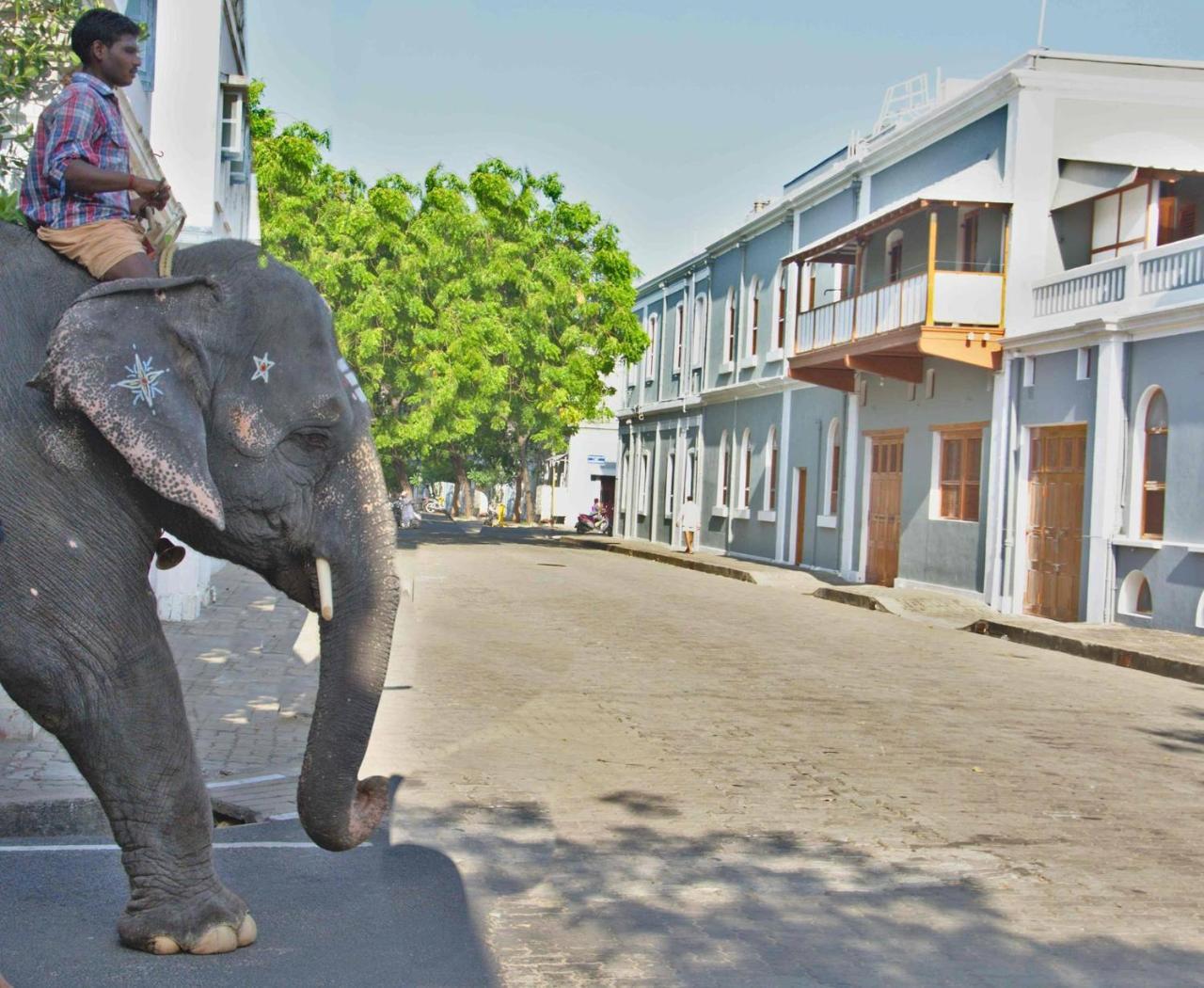 Patricia Guest House Pondicherry Ngoại thất bức ảnh