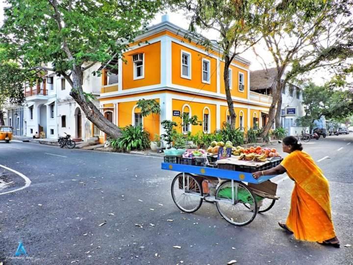 Patricia Guest House Pondicherry Ngoại thất bức ảnh